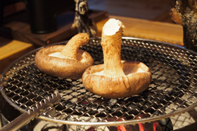 よくあるご質問