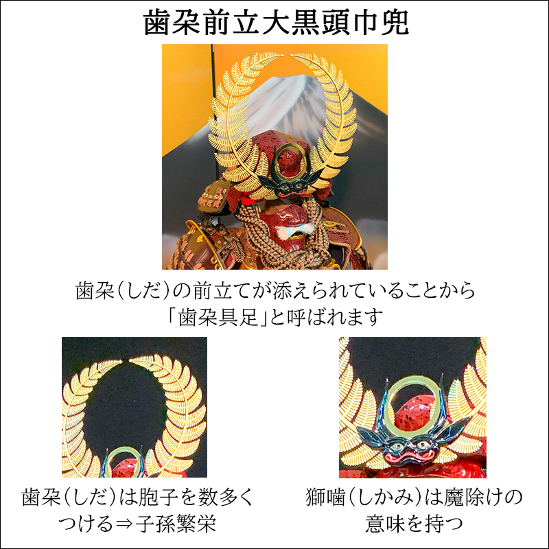 五月人形 徳川家康 甲冑 兜 鎧 関ヶ原合戦 大坂の陣 歯朶具足 しだ