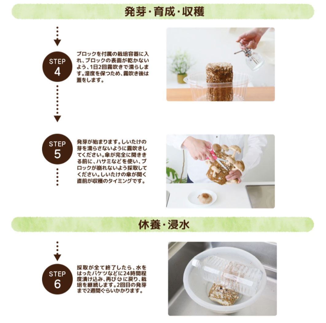 しいたけ栽培キット