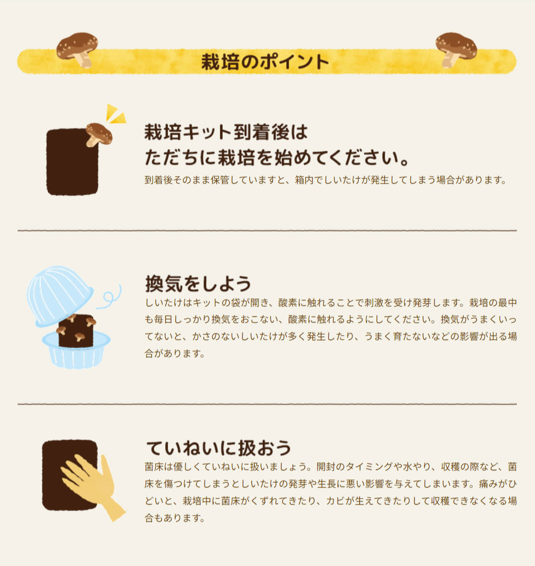 しいたけ栽培キット