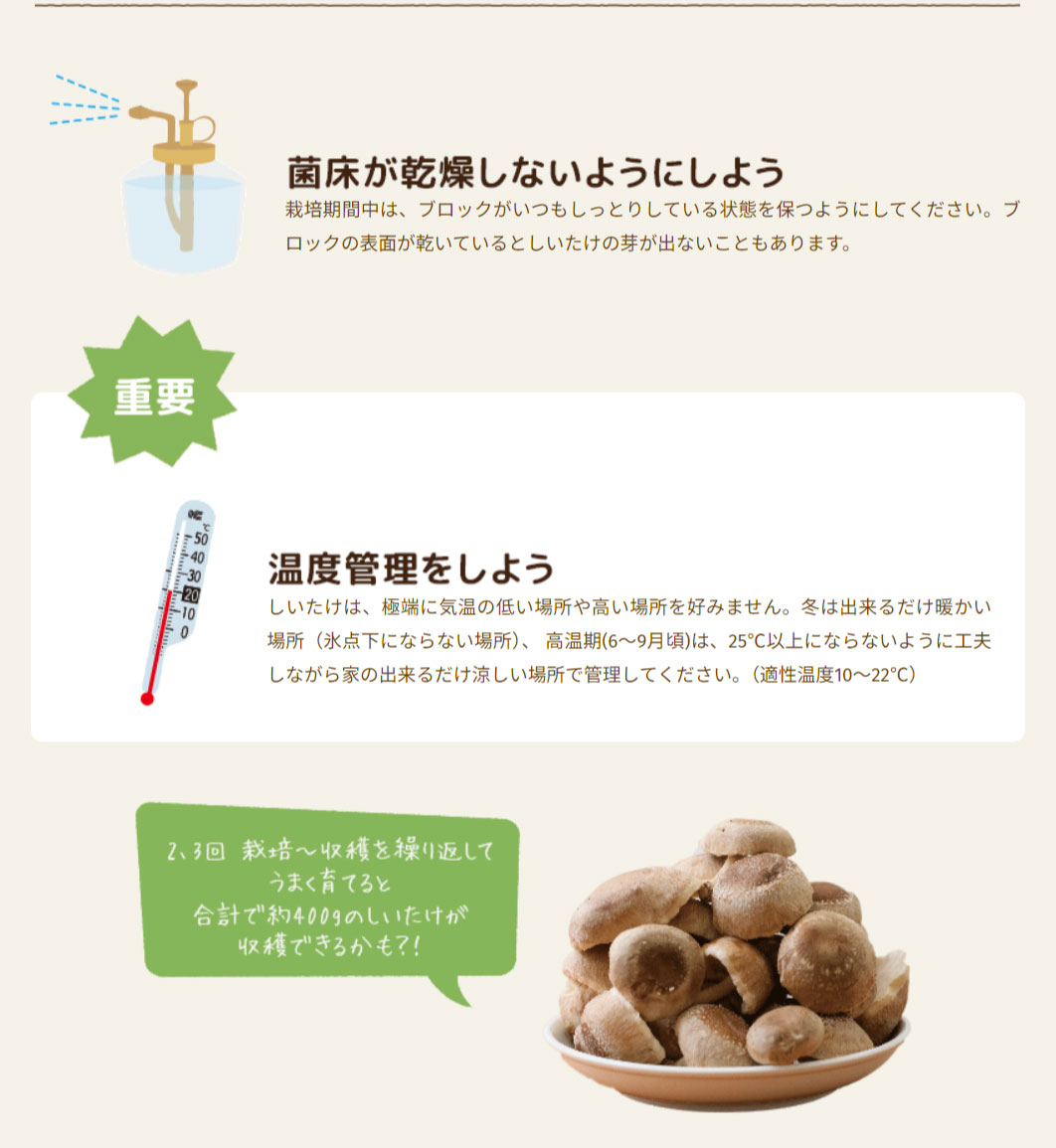 しいたけ栽培キット