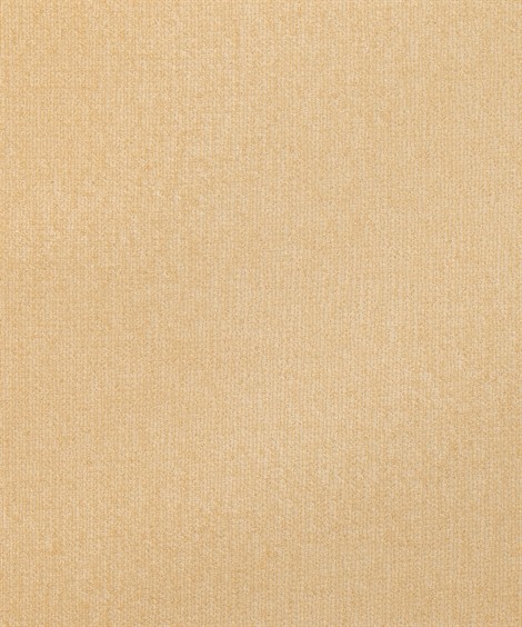 ストッキング 大きいサイズ レディース すごのび 抗菌防臭 伝線しにくい股ズレ防止ソフト着圧パンティ 2足組 L〜3L ニッセン nissen | ニッセン | 01