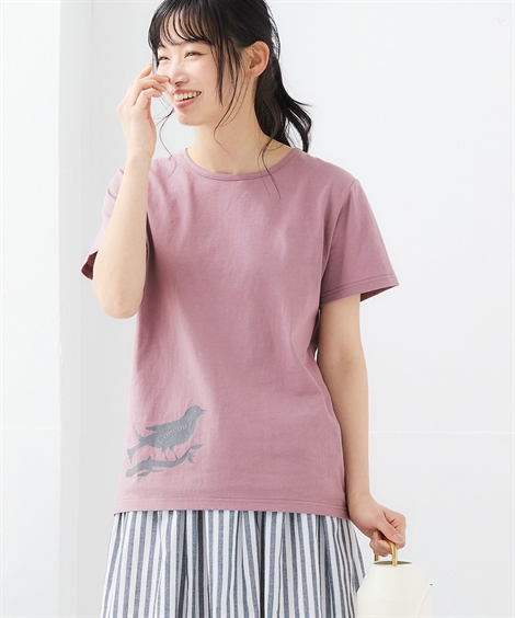 Tシャツ カットソー レディース 吸汗速乾 プリント UVカット 夏 S/M/L/LL ニッセン nissen