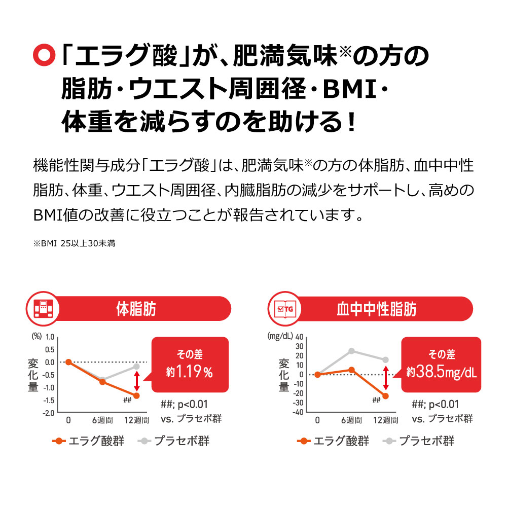ナイスリムサポート エラグ酸のチカラ