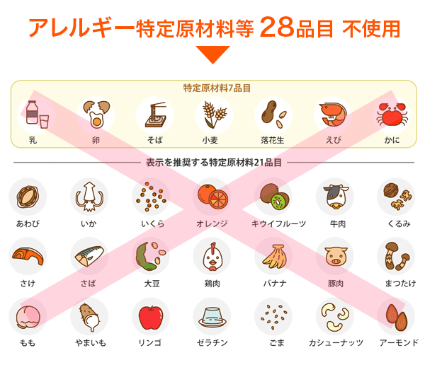 非常食セット 3日分 アレルギー28品目不使用...の詳細画像3