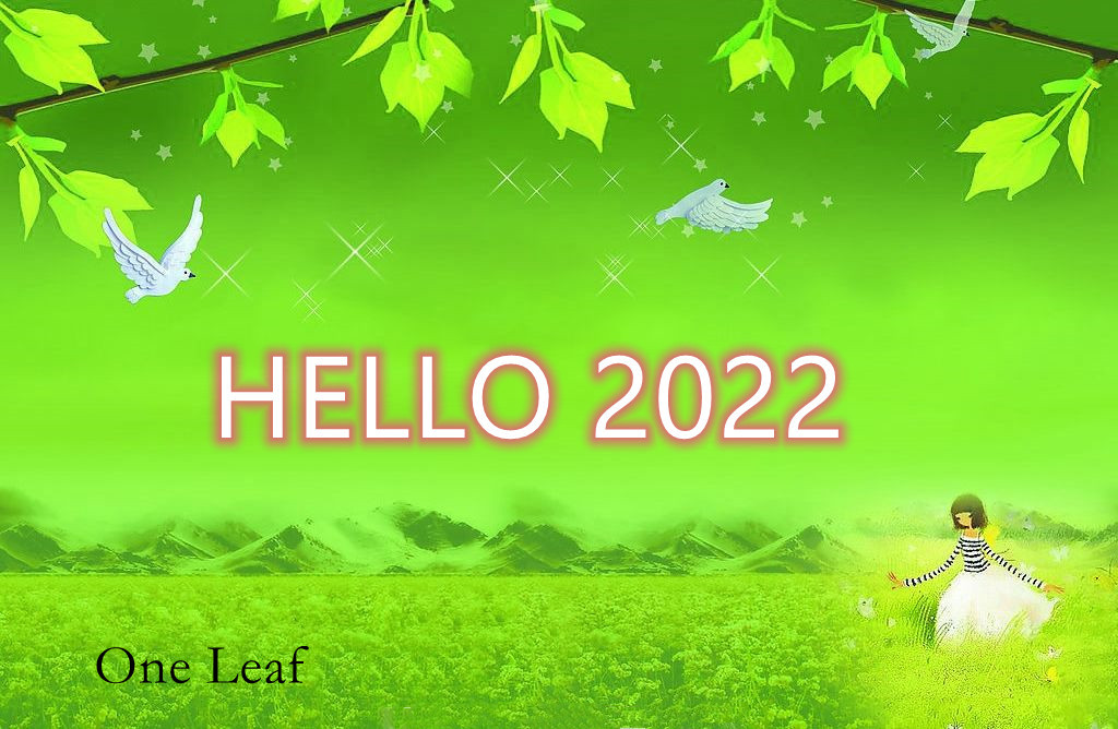 One Leafの「全商品セール！！4599円以上の購入300円OFF！！！！」のクーポン