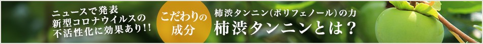 柿渋タンニン（ポリフェノール）の力柿渋タンニンとは？こだわりの成分