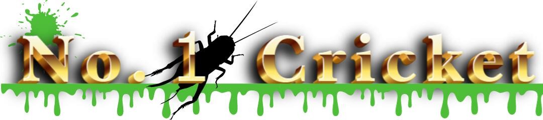 N1 Cricket ヘッダー画像