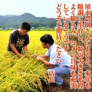 栃木県 お米 ミルキークイーン 米 30kg 送料無料 新米 2024年産