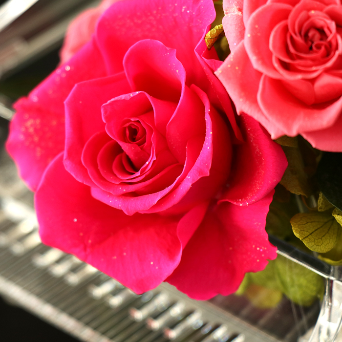 プリザーブドフラワー 花束 × ピアノ バラ 枯れない 花 母の日 ギフト プレゼント 贈り物 赤 ケース入り ローズ 薔薇 ピンク レッド ブルー 送料無料 造花 花束 |  | 02