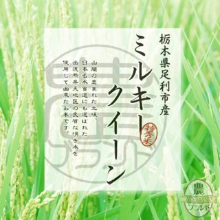 令和７年栃木産ミルキークイーン無洗米10kg Amazon.co.jp: 令和7年 栃木県産 お米 ミルキークイーン 10kg 無洗米