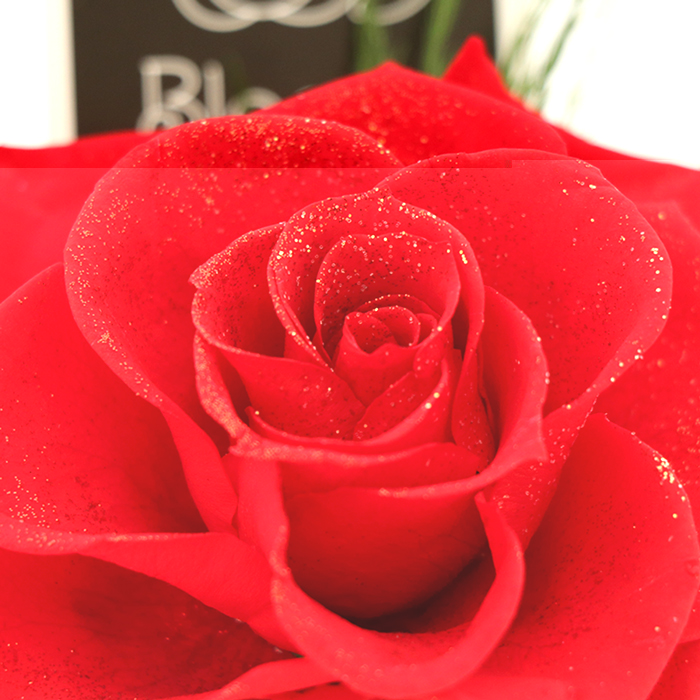 ブリザーブドフラワー 薔薇 100輪 一輪 花束｜バラのプリザーブドフラワー【中輪】｜ギフト