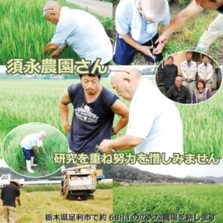 2024年栃木県南鬼怒川水系ミルキークイーン玄米限定15キロ　送料着払限定 no-brand_010103