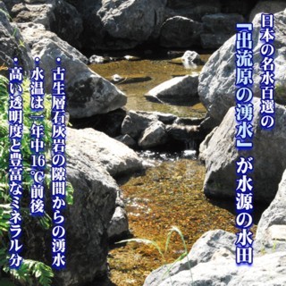 ミルキークイーン 令和7年産 栃木県 10kg 送料無料 名水百選の湧き水