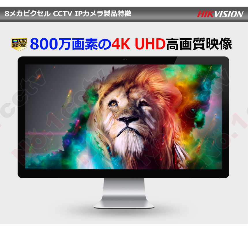 HIKVISION][IP-8M] 防犯カメラ 監視カメラ 屋外 屋内 4K UHD 2ch 4POE