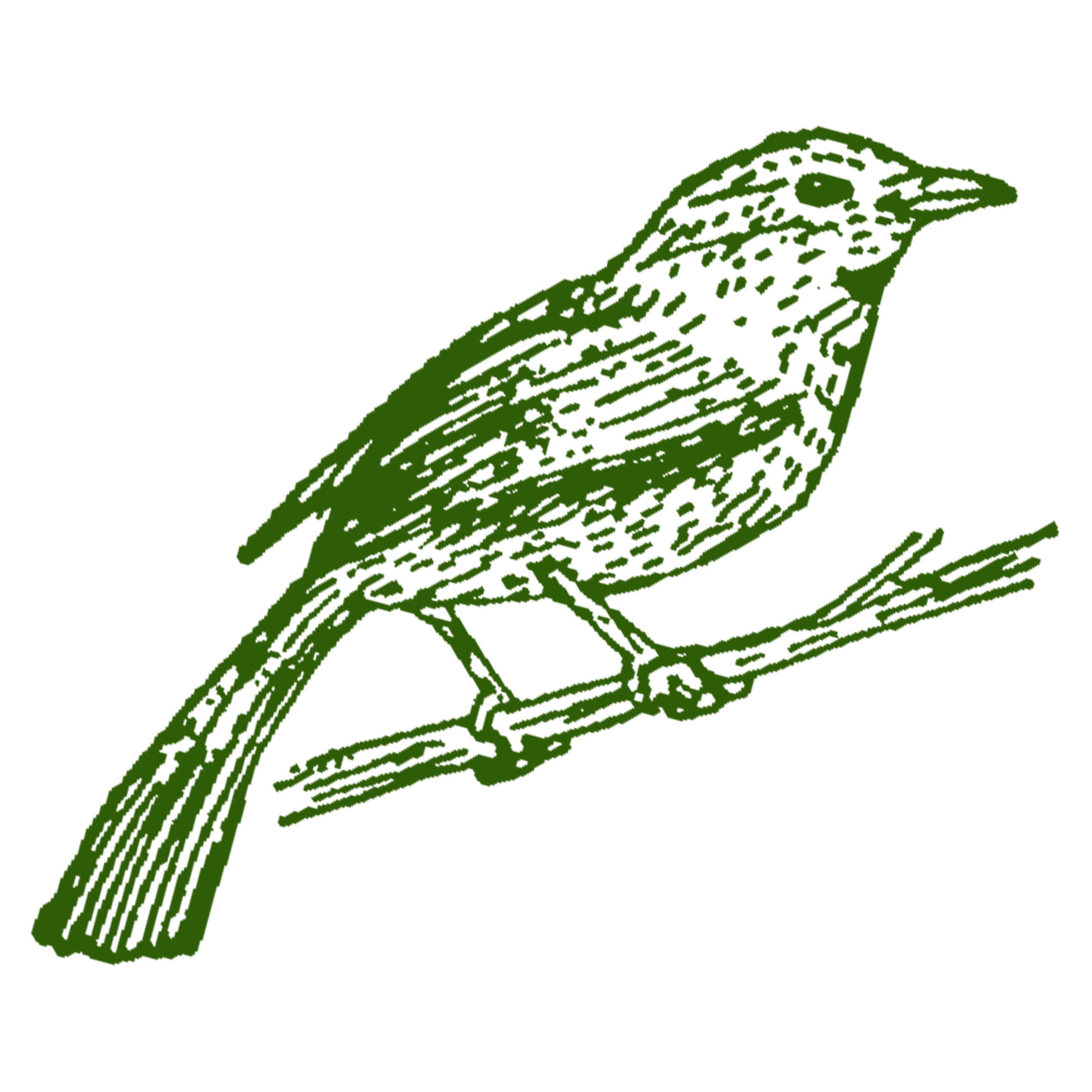 木製スタンプ 動物 ヴィンテージ アンティーク はんこ ミニ レトロ