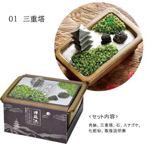 2点以上同時購入で送料無料 禅庭 スナゴケ 栽培セット 日本庭園 苔 砂