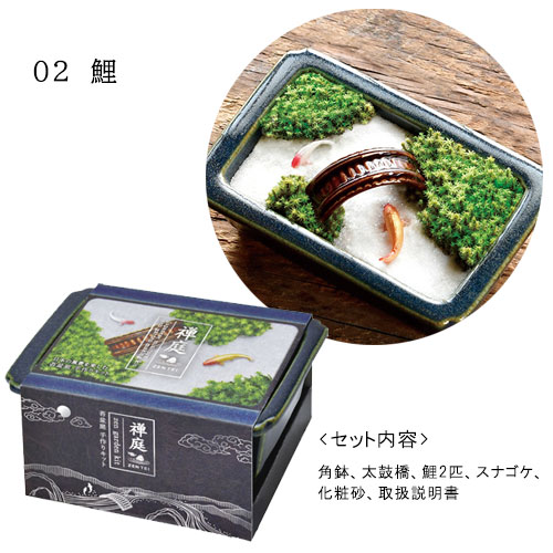 2点以上同時購入で送料無料 禅庭 スナゴケ 栽培セット 日本庭園 苔 砂