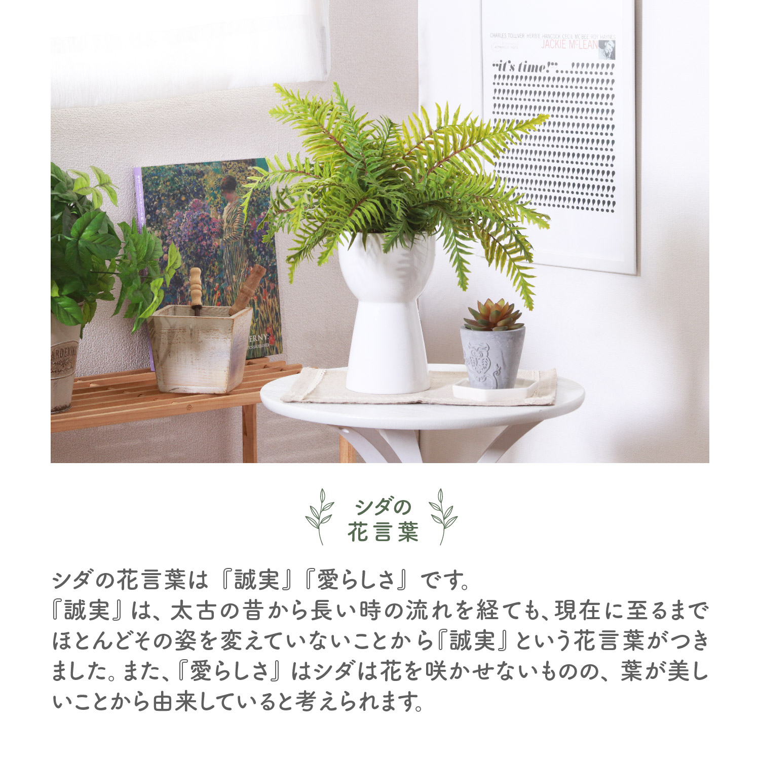 シダ植物 植物（人工観葉、フェイクグリーン）の商品一覧 | 花