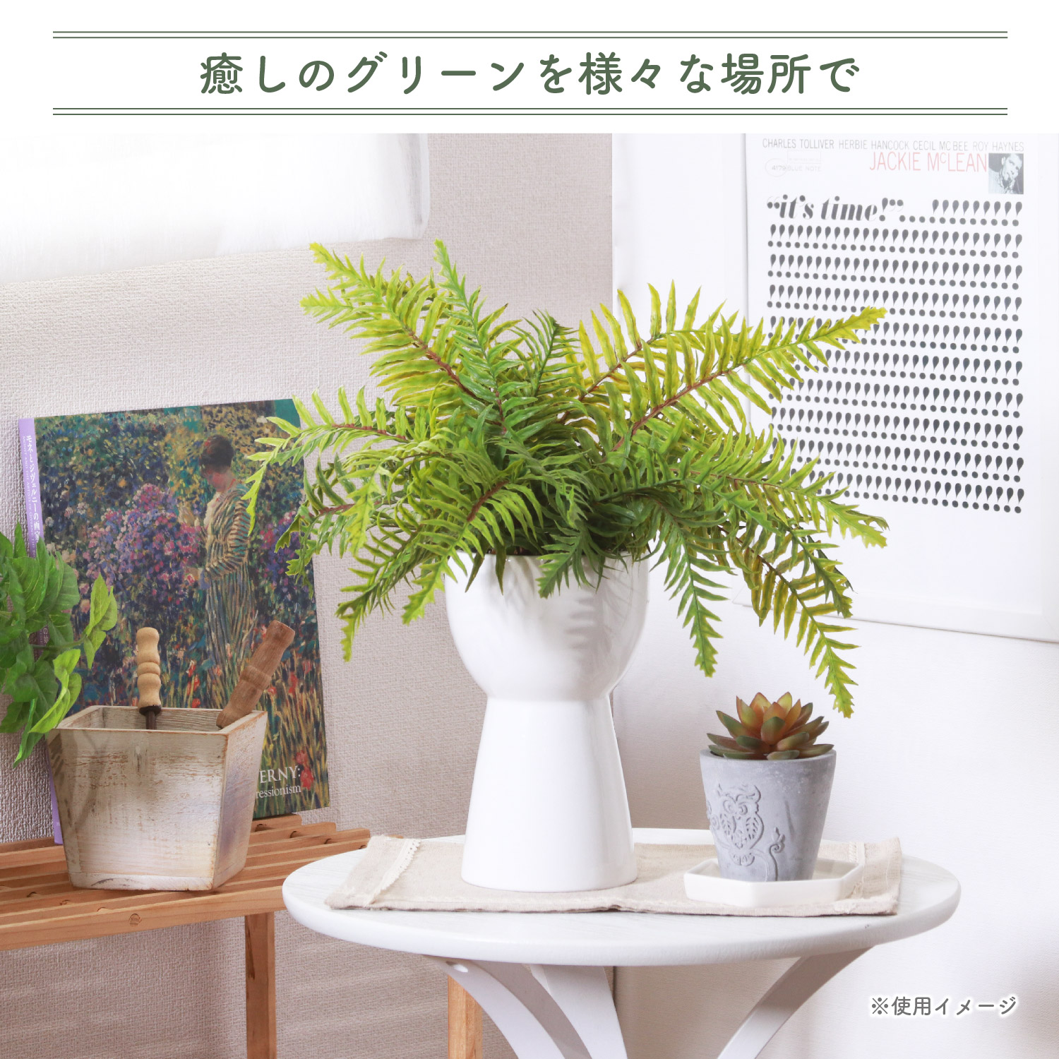 シダ植物 植物（人工観葉、フェイクグリーン）の商品一覧 | 花