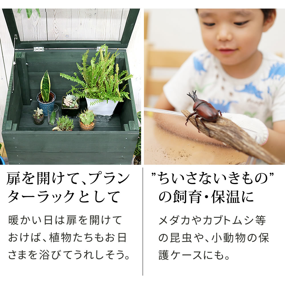 ガラス温室　花・爬虫類の飼育などに ガラス温室 花・爬虫類の飼育などに 【公式通販】