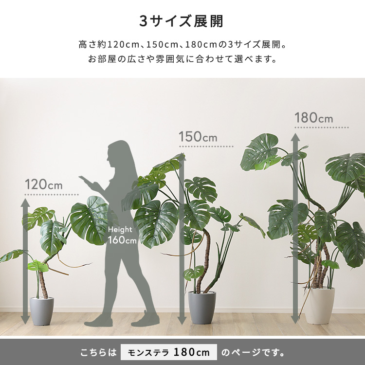 180cm人工観葉植物【1500円】+植木鉢(グレー)【3500円】 楽天市場】一番人気 モンステラ フェイクグリーン Lサイズ 180cm 大型