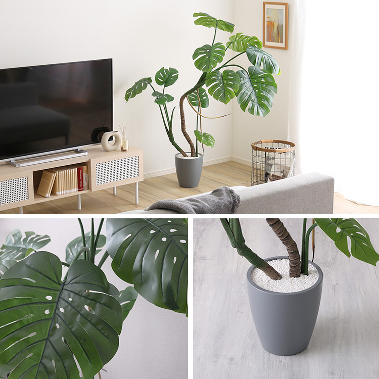 一番人気 モンステラ フェイクグリーン Mサイズ 150cm  大型 おしゃれ 人工 観葉植物 リアル おすすめ リビング オフィス 鉢付き 店舗 インテリア 植木鉢 室内の画像