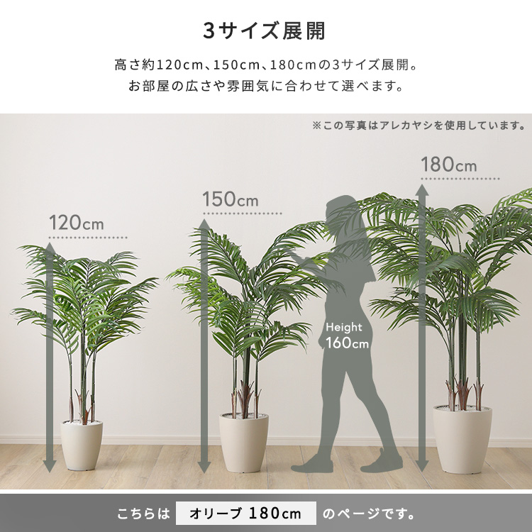風水 「平和 繁栄」 オリーブ フェイクグリーン Lサイズ 180cm  大型 おしゃれ 人工 観葉植物 リアル おすすめ リビング オフィス 鉢付き 店舗 インテリアの画像