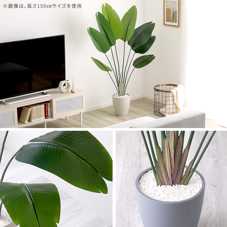 南国感＆リゾート感 ストレリチア フェイクグリーン Sサイズ 120cm  大型 おしゃれ 人工 観葉植物 リアル おすすめ リビング オフィス 鉢付き 店舗 インテリア_8