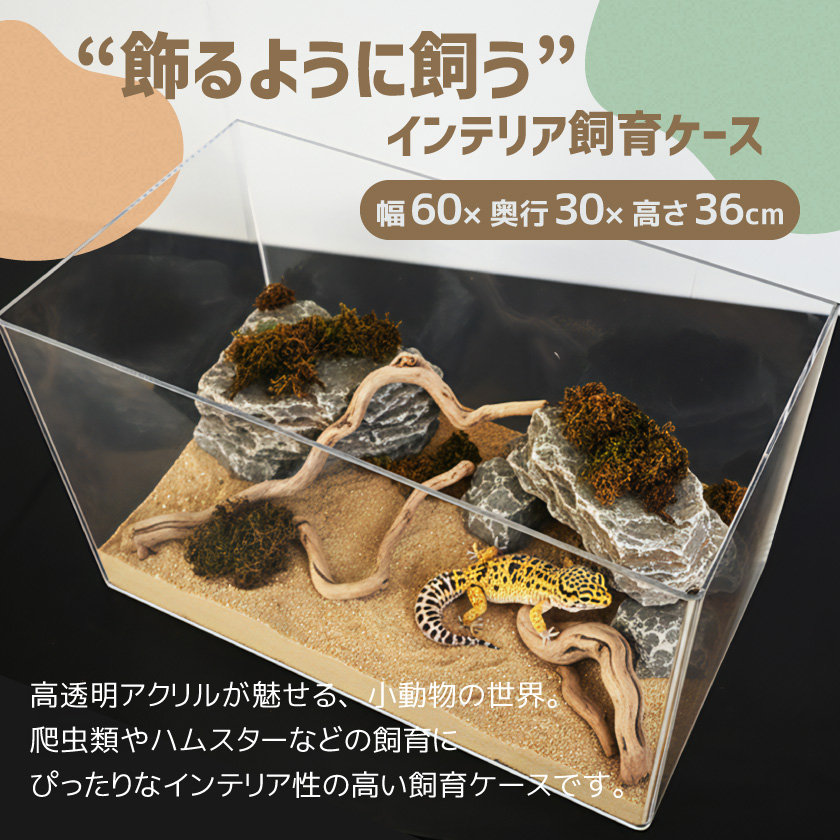 爬虫類ケージ60のおすすめ人気商品一覧 通販 - Yahoo!ショッピング 爬虫類ケージ60のおすすめ人気商品一覧 通販 - Yahoo!ショッピング