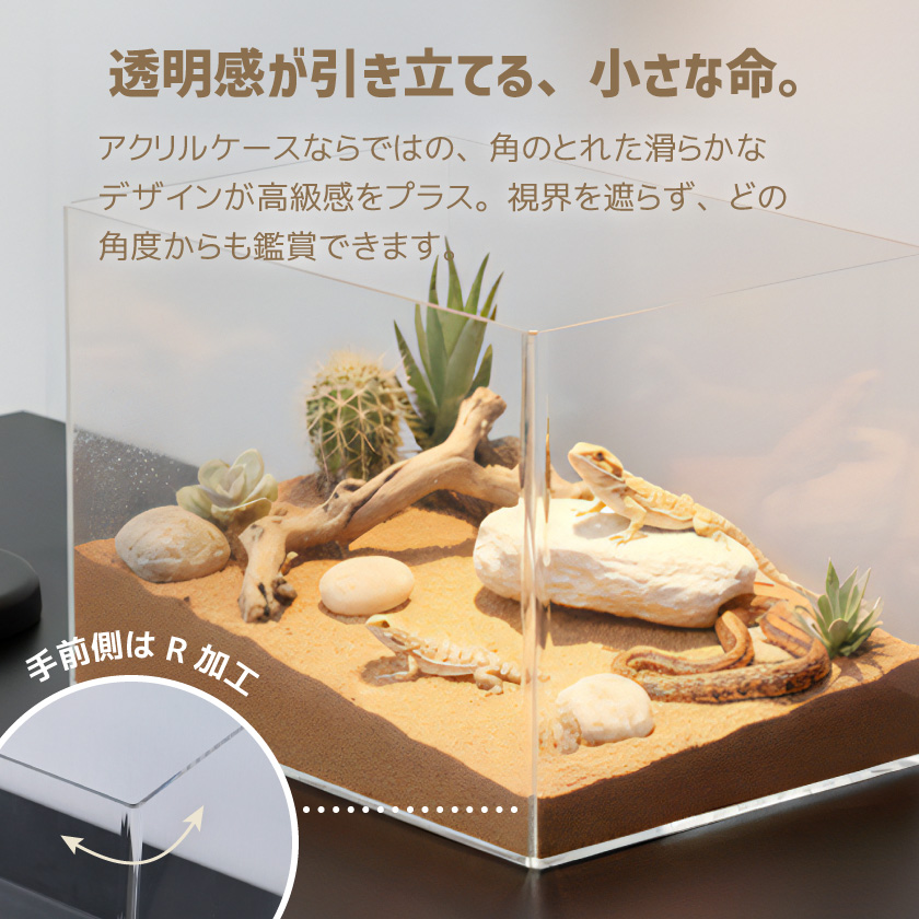 飼育ケース 飼育ケージ 飼育かご 飼育容器 アクリル ケージ 虫かご プラケース 幅45cm 高さ30cm 奥行30cm 爬虫類 小動物 昆虫 ハムスター 蛇 DIY向き クリア_2