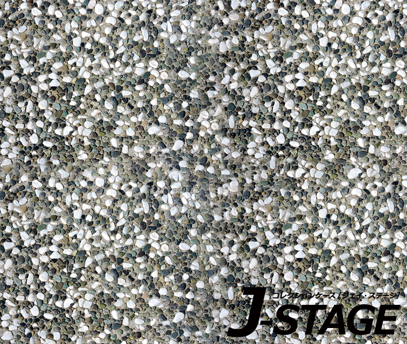 J-STAGE X^_[h M[^Cvp ʃfUCV[g ~Γ  n H RN[g   y
