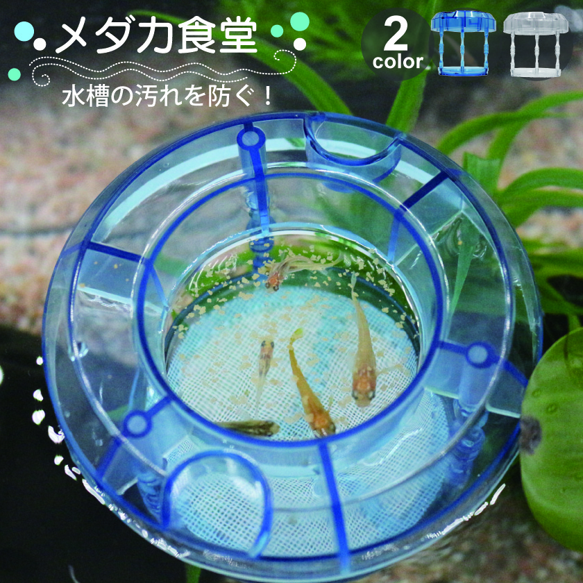 ＼エサの拡散を防ぎ、食べ残し、水汚れ防止！／ めだか エサ 食べ残し 容器 金魚 餌 水キレイ 受け皿 浮上性 沈下性 水の汚れ 拡散防止 水槽 アクアリウム