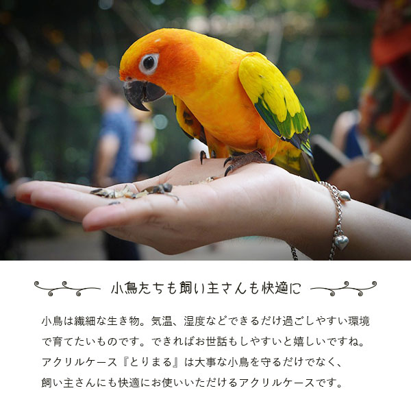 とりまる Sサイズ 鳥かご カバー バードケー...の詳細画像1