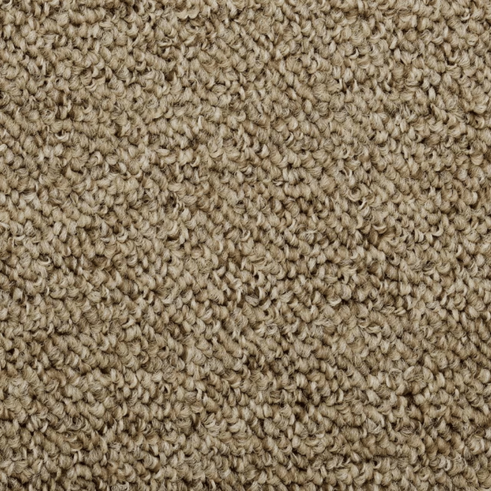 カーペット 10畳 厚手 変形加工代金込み 安い 北欧 おしゃれ 日本製 無地 ラグマット 352×440cm PRV | スミノエ | 02