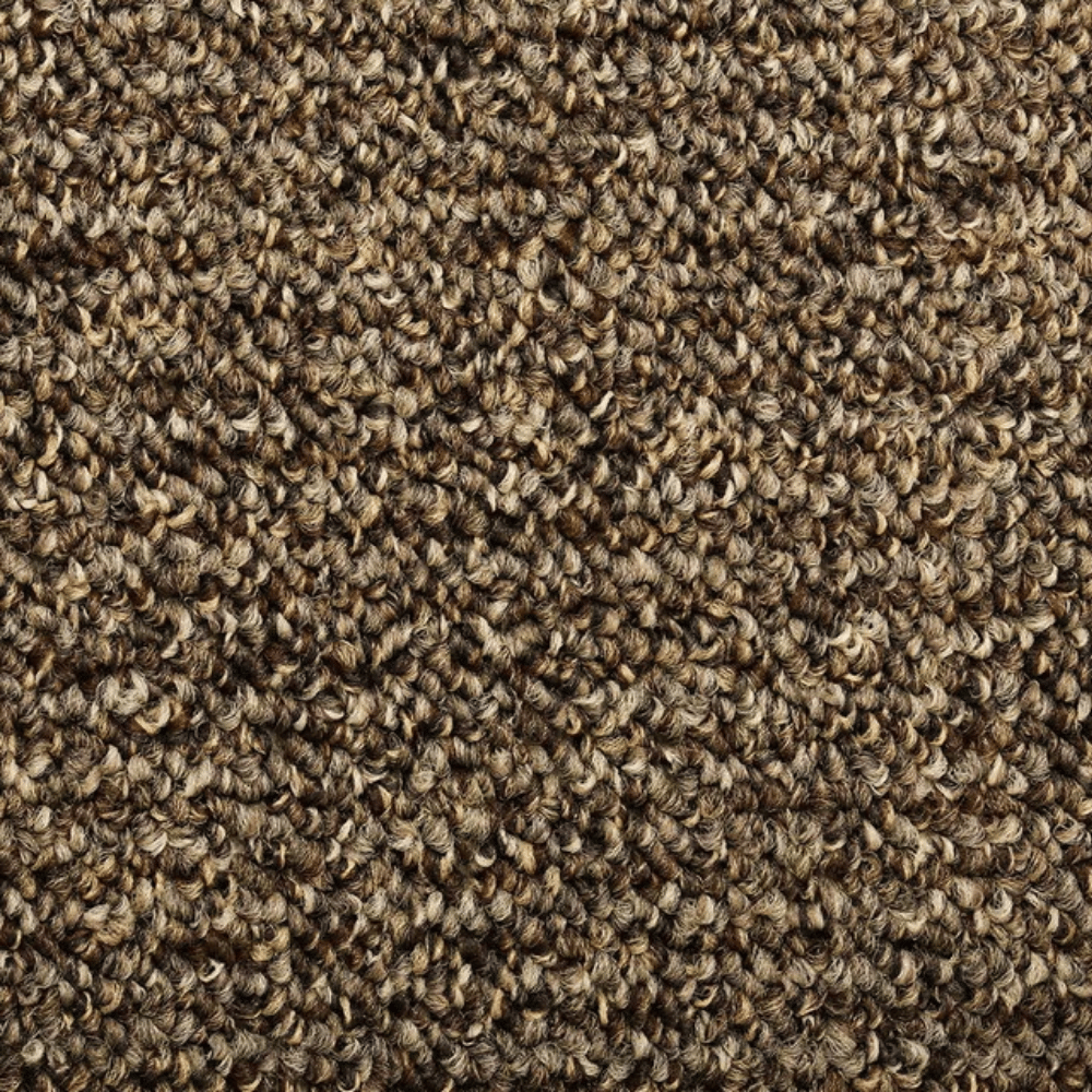 カーペット 10畳 厚手 変形加工代金込み 安い 北欧 おしゃれ 日本製 無地 ラグマット 352×440cm PRV | スミノエ | 05