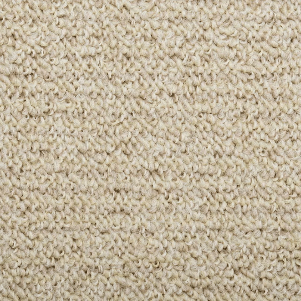 カーペット 10畳 厚手 変形加工代金込み 安い 北欧 おしゃれ 日本製 無地 ラグマット 352×440cm PRV | スミノエ | 01