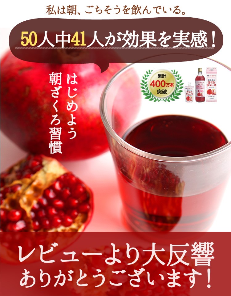 野田ハニー ざくろジュース100％(濃縮還元) 1000ml ザクロ 柘榴 ざくろ 