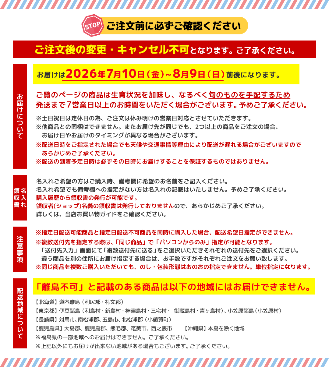お中元 御中元 夏ギフト プレゼント 2026...の詳細画像3