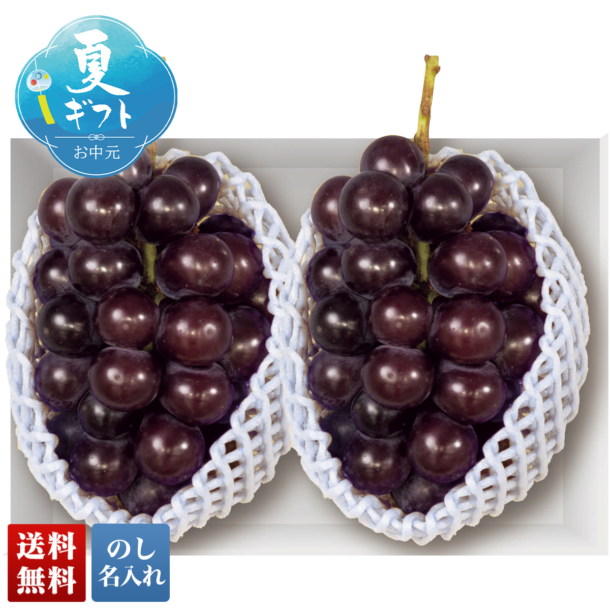 ���� ������ �䒆�� �ăM�t�g �v���[���g 2026 �������� �R�����Y ���� A15-3C