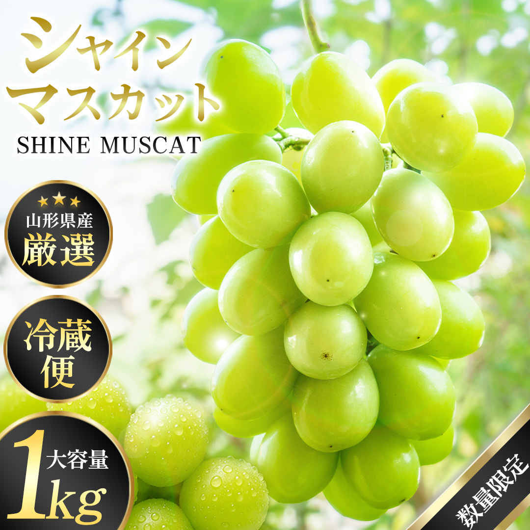 R`Y VC}XJbg1~2[ 1kg N[ւł͂  t[c ʕ   Â v[g 蕨 Mtg  Ȃ B15-7