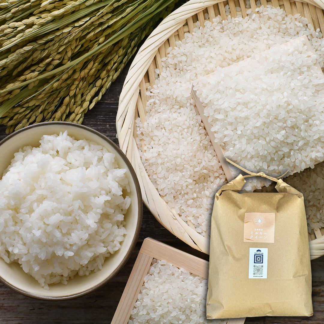 お米 精米【令和6年産岩手県産ひとめぼれ20kg】（5kg×4) モチモチ