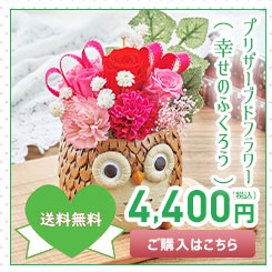 母の日 プレゼント 2023 スイーツ ギフト お菓子 八天堂 クリームパン メッセージ 「八天堂」ｔｈａｎｋ ｙｏｕくりーむパン「SS024」  :ha-482-m:noel-deco 通販 