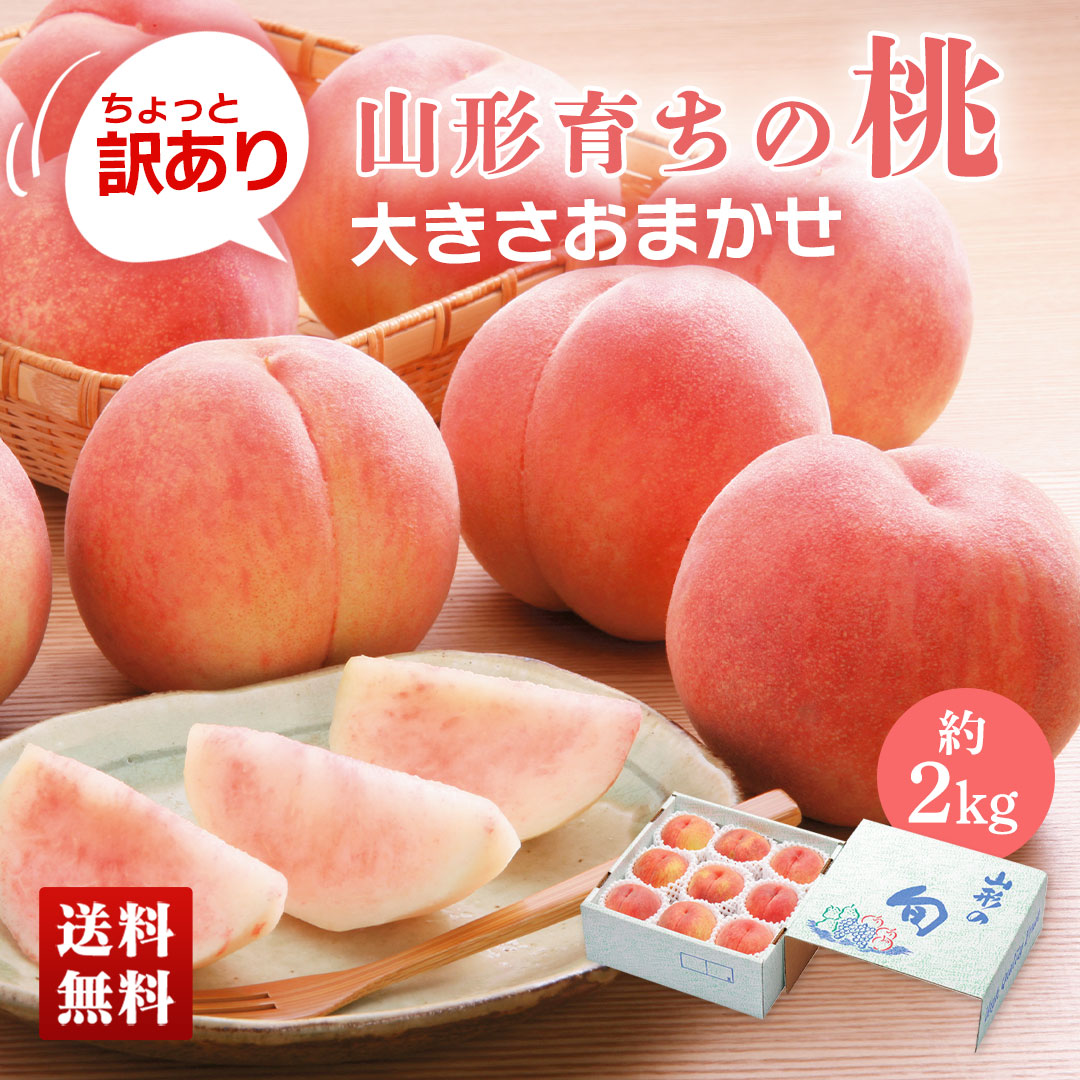 桃 10個」の人気商品一覧 | 安い商品を通販サイトから探す
