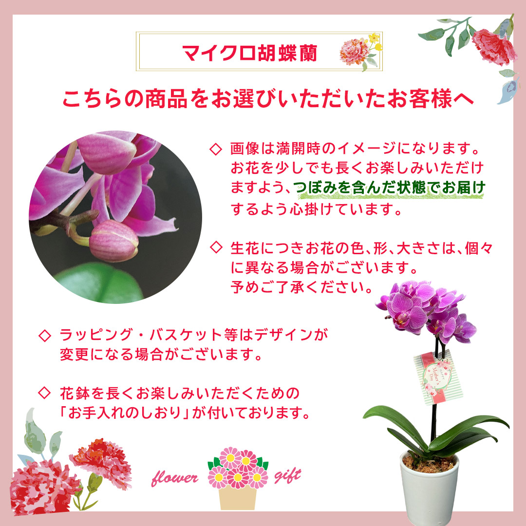 母の日 遅れてごめんね プレゼント 2026 ...の詳細画像4