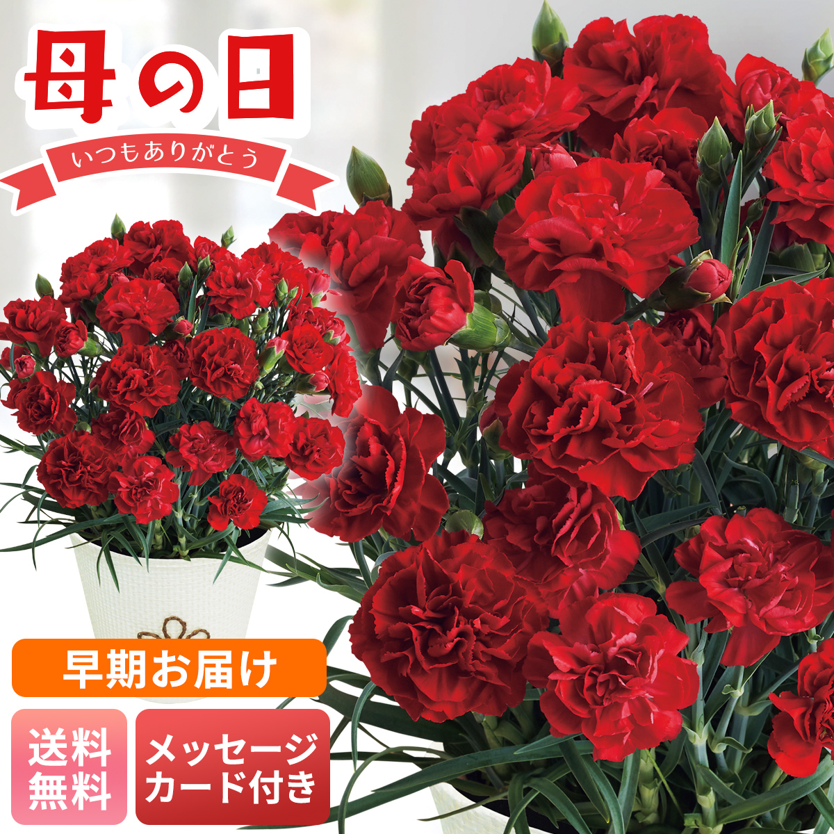 早届け 母の日 プレゼント 2026 母の日ギフト 定番 人気 花 ギフト