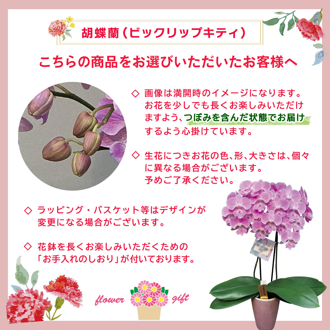 早割 母の日 プレゼント 2026 母の日ギフ...の詳細画像3