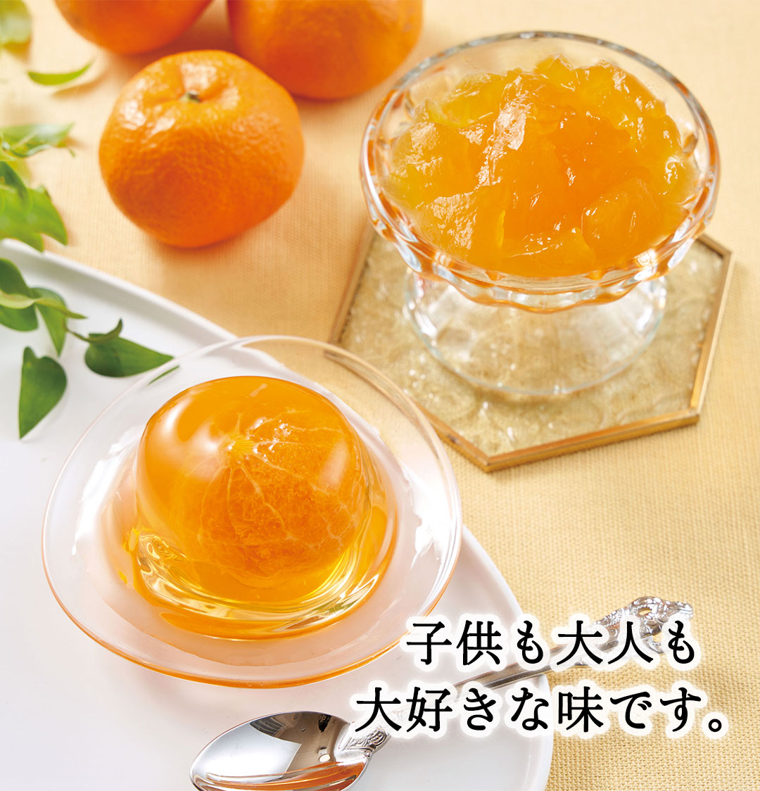 早割 お中元 御中元 夏ギフト プレゼント 2026 送料無料 国産みかん