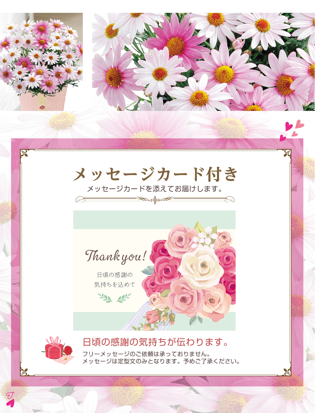 早届け 母の日 プレゼント 2026 母の日ギフト 定番 人気 花 ギフト