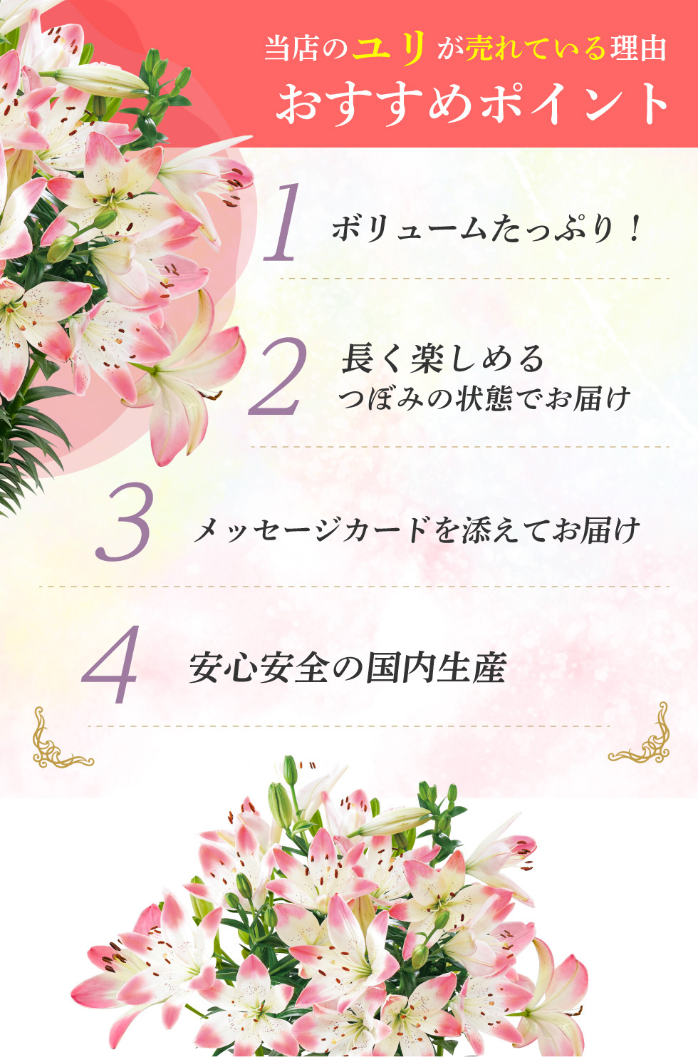 母の日 花 鉢植え 花鉢 鉢 プレゼント 人気...の詳細画像2